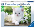 RAVENSBURGER Puzzle Bílé kotě 1500 dílků