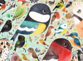 RAVENSBURGER Puzzle Britští ptáci 500 dílků