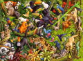 RAVENSBURGER Puzzle Deštný prales XXL 200 dílků