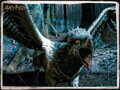 PRIME 3D Puzzle Harry Potter: Klofan 3D XL 300 dílků