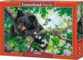 CASTORLAND Puzzle Kéž bych mohl létat 500 dílků