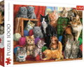 TREFL Puzzle Kočičí setkání 1000 dílků