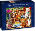 BLUEBIRD Puzzle Koťata v zahradní boudě 100 dílků