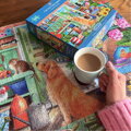 GIBSONS Puzzle Zahradní poličky 1000 dílků