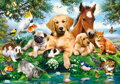 CASTORLAND Puzzle Letní přátelé 500 dílků