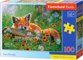 CASTORLAND Puzzle Liščí snění  100 dílků