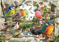 RAVENSBURGER Puzzle Naši opeření přátelé 1000 dílků