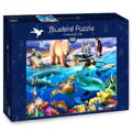 BLUEBIRD Puzzle Oceán života 1000 dílků