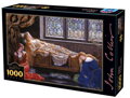 D-TOYS Puzzle Šípková Růženka 1000 dílků