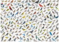 EUROGRAPHICS Puzzle Svět ptáků 1000 dílků