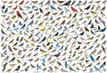EUROGRAPHICS Puzzle Svět ptáků 2000 dílků
