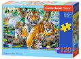 CASTORLAND Puzzle Tygři u řeky 120 dílků