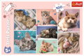 TREFL Puzzle V kočičím světě 100 dílků
