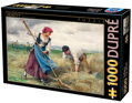 D-TOYS Puzzle Ženci 1000 dílků