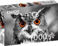 ENJOY Puzzle Zvědavá sova 1000 dílků