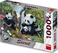 DINO Puzzle Secret Collection: Pandy 1000 dílků