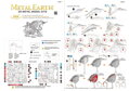 METAL EARTH 3D puzzle Triceratops