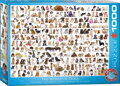 EUROGRAPHICS Puzzle Svět psů 1000 dílků