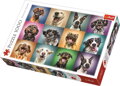 TREFL Puzzle Veselé psí portréty 1000 dílků