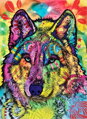 HEYE Puzzle Jolly Pets: Vlčí duše 1000 dílků
