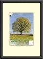 BFHM Plastový rám na puzzle 50x40cm - černý