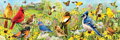 EUROGRAPHICS Panoramatické puzzle Zahradní ptáci 1000 dílků