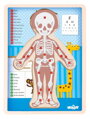 WOODY Oboustranné puzzle Lidské tělo - Chlapec (anglicky)