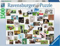 RAVENSBURGER Puzzle Koláž se zvířecími ksichtíky 1500 dílků