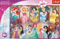 TREFL Puzzle Portréty princezen 160 dílků