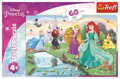 TREFL Puzzle Seznamte se s Disney princeznami 60 dílků