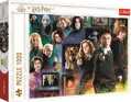 TREFL Puzzle Harry Potter: Kouzelnický svět 1000 dílků