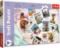 TREFL Puzzle Fotky z dovolené 300 dílků