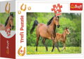 TREFL Displej Puzzle Svět koní 54 dílků (40 ks)