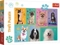 TREFL Puzzle V psím světě 100 dílků