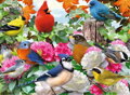 RAVENSBURGER Puzzle Zahradní ptáci 500 dílků