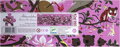 DJECO Panoramatické puzzle Abrakadabra 200 dílků
