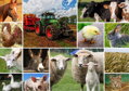 GRAFIKA Puzzle Hospodářská zvířata 1500 dílků