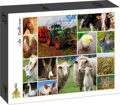 GRAFIKA Puzzle Hospodářská zvířata 1500 dílků