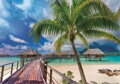 TREFL Puzzle UFT Wanderlust: Rajská pláž na Bora-Bora 1000 dílků