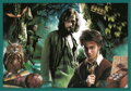 TREFL Puzzle Harry Potter MEGA PACK 10v1