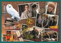TREFL Puzzle Harry Potter MEGA PACK 10v1