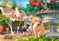 CASTORLAND Puzzle Hra na schovávanou 500 dílků