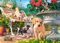 CASTORLAND Puzzle Hra na schovávanou 100 dílků