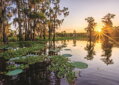 ANATOLIAN Puzzle Východ slunce nad jezerem Duck Lake, Kanada 3000 dílků