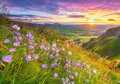 CASTORLAND Puzzle Zvonky při východu slunce 500 dílků