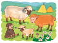 DINO Obrázkové kostky Na farmě, 12 kostek