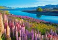 CASTORLAND Puzzle Jezero Tekapo, Nový Zéland 500 dílků