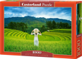 CASTORLAND Puzzle Rýžová pole ve Vietnamu 1000 dílků