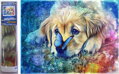 Norimpex Diamantové malování Pes s motýlem 30x40cm