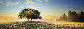 HEYE Panoramatické puzzle Hra světla 1000 dílků
